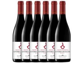 Vinho ENTRECHUELOS Entrechuelos Vino De La Tierra De Cádiz Roble (0.75 L - 6 unidades)