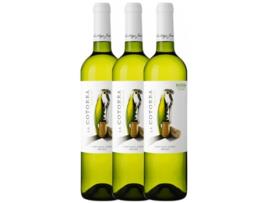 Vinho SANTIAGO JORDI Santiago Jordi La Cotorra Verdejo Rueda Joven (1.5 L - 3 unidades)