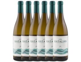 Vinho PRIMITIVO COLLANTES Primitivo Collantes Viña Matalian Palomino Fino Vino De La Tierra De Cádiz (0.75 L - 6 unidades)