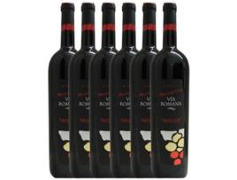 Vinho VÍA ROMANA Vía Romana Mencía Ribeira Sacra Crianza (0.75 L - 6 unidades)