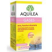GASES VENTRE LISO 60 COMPRIMIDOS