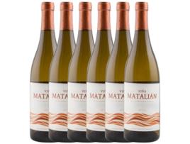 Vinho PRIMITIVO COLLANTES Primitivo Collantes Viña Matalian Semidulce Meio Seco Vino De La Tierra De Cádiz (0.75 L - 6 unidades)