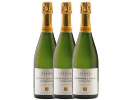 Vinho DOMINIO DE LA VEGA Dominio De La Vega Authentique Brut Nature Cava (0.75 L - 3 unidades)