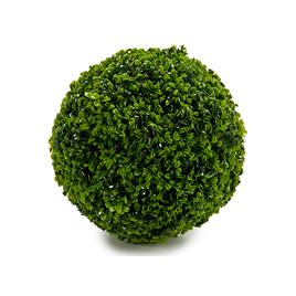 Bola Arbusto Verde