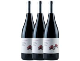 Vinho VALDEMONJAS Valdemonjas Entre Palabras Tempranillo Ribera Del Duero (0.75 L - 3 unidades)