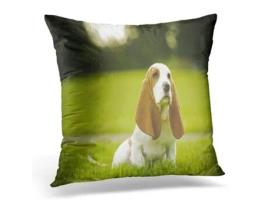 Fronha de Almofada ECZJNT para cachorro Basset Hound Sitting Park (45x45 cm)