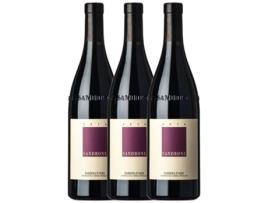 Vinho SANDRONE Sandrone Barbera Barbera D'Alba (0.75 L - 3 unidades)
