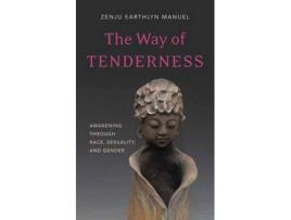 Livro way of tenderness de zenju earthlyn manuel (inglês)