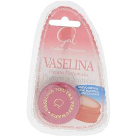 VASELINA BLISTER 13 GR