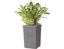 Vaso Autoirrigável  Cinzento 0,8 L