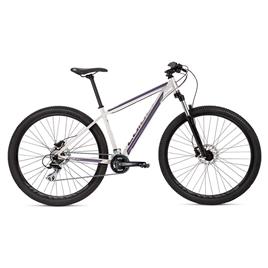 Coluer Ascent 294 29´´ Altus 2023 Mtb Bike  L