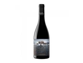 A Grenache Perdida dos Pirenéus 2019 GRUPO VINTAE