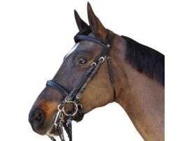 Cabeçotes de cavalo CANTER Euro