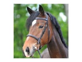 Cabeçotes de cavalo KAVALKADE Akila Hunter