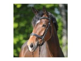 Cabeçotes de cavalo KAVALKADE Ivy Plus