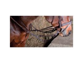 Cabeçada de cavalo elástica para cavalos howlett T de T