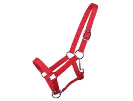 Cabresto para potros QHP Yearling