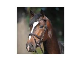 Cabeçadas para cavalos KAVALKADE Ivy