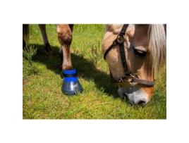 Protecção dos cascos dos cavalos HORSE MASTER Davis Taille 6
