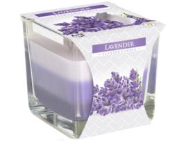 Vela Tarro Arco-Íris Lavanda 170G