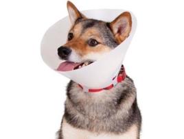 Colar Isabelino para Cães  (39-48x25 cm)