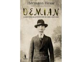 Livro Demian - 100 Anos de Hermann Hesse (Português)