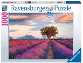 Puzzle  Campos de Lavanda (Idade Mínima: 8 Anos - 1000 Peças)