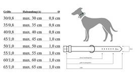 Coleira para Cães HUNTER 124576 (Bege - Tamanho: 30)