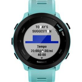 Smartwatch Garmin Forerunner 55 - Azul