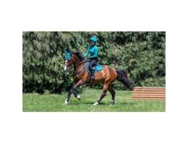Almofada de sela para cavalos grandes de camurça LeMieux GP Square S/M