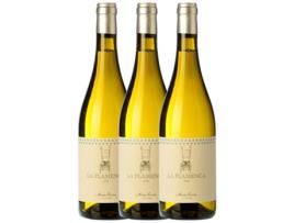 Vinho MARIO ROVIRA Mario Rovira Flamenca Alella Crianza (0.75 L - 3 unidades)