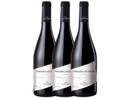 Vinho PONTE DA BOGA Ponte Da Boga Bancales Olvidados Mencía Ribeira Sacra (0.75 L - 3 unidades)