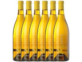 Vinho PAGO DEL VICARIO Pago Del Vicario Tempranillo Vino De La Tierra De Castilla (0.75 L - 6 unidades)