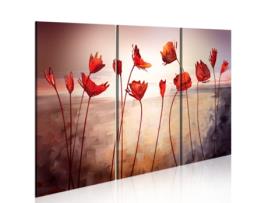 Quadro ARTGEIST Bright red poppies (120x80)