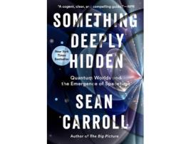 Livro Something Deeply Hidden de Sean Carroll