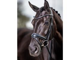 Cabeçada para cavalos LeMieux Classic