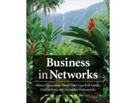Livro business in networks de h hakansson (inglês)