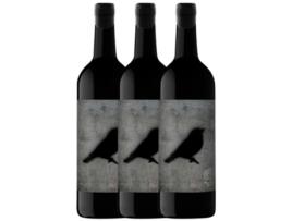 Vinho VIÑA ZORZAL Viña Zorzal Nat Cool Graciano Navarra (1 L - 3 unidades)