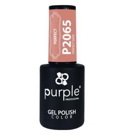 Purple Professional Gel Polish Color 2065 10Ml