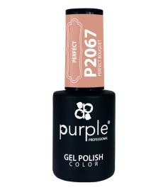 Purple Professional Gel Polish Color 2067 10Ml
