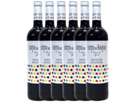 Vinho BODEGAS ARAGONESAS Bodegas Aragonesas Coto De Hayas Garnacha Syrah Campo De Borja (0.75 L - 6 unidades)