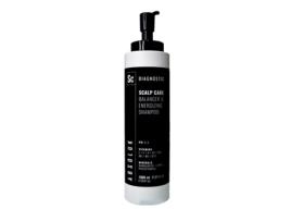 Champô ABSOLUK Diagnostic Balancer & Energizing