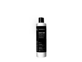 Champô ABSOLUK Diagnostic Balancer & Energizing