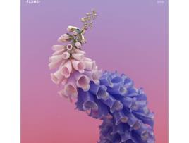 Vinil Flume - Skin (1CDs)