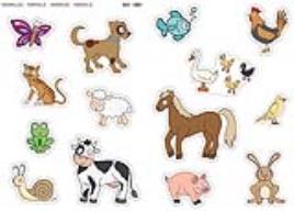 Etiquetas Autocolantes Maxi Animais Removíveis A4 2f