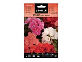 Sementes Variegadas de Gerânio Zonal