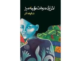 Livro ????? ???? ???? ??? The Enlightenment Of The Greengage Tree: Farsi Edition de Shokoofeh Azar ( Inglês )