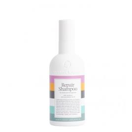 Waterclouds Repair Shampoo 250ml