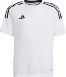 Camisa adidas CAMPEON 23 JSYY