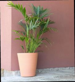 Vaso de barro CONE ONDULADO 46CM TERRACOTA